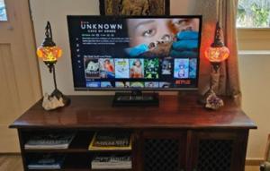 TV a/nebo společenská místnost v ubytování Large Deluxe Studio - Chalet Lovo
