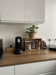 eine Küchentheke mit Kaffeemaschine und Pflanze in der Unterkunft Appartement T2 proche de la gare Bourg en Bresse in Bourg-en-Bresse
