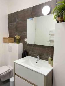 a bathroom with a white sink and a toilet at Appartement T2 proche de la gare Bourg en Bresse in Bourg-en-Bresse
