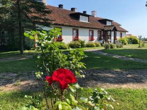 a red rose in front of a house at Ontika Guesthouse in Ontika Asundus