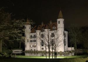 ein großes weißes Schloss mit einem Turm in der Nacht in der Unterkunft Kasteel Ter Leyen in Assenede