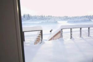 Gallery image of The Chena River House North Suite in Fairbanks
