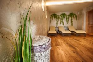 a waiting room with a row of chairs and a plant at Family Hotel The View & SPA in Tsigov Chark