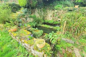 een tuin met potplanten in een stenen muur bij Pretty Cocoon in the heart of Dinan in Dinan