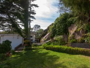 un jardín con una hamaca en el patio en The Shelter, en Malveira da Serra