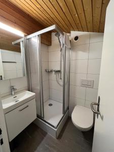a bathroom with a shower and a toilet and a sink at Haus Augstbord BNB Zimmer in Unterbäch