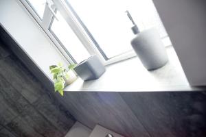 a window with a plant and a vase on a window sill at Modern 4 bed - Lincoln - Parking in Lincoln