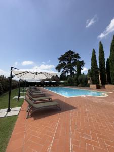 a row of chaise lounges next to a swimming pool at Agriturismo Terra Di Dio Toscanizzazione in Capannoli