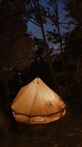 a lit up umbrella sitting in the grass at night at Habitat Eco Farm in Sorrento