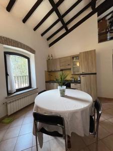 a kitchen with a table with a plant on it at Appartamento spazioso in centro in Viterbo
