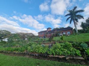 a house with a palm tree in front of a garden at Secret Sithela in Port Edward