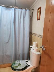 a bathroom with a toilet with a shower curtain at Ático dúplex con piscina privada y vistas al mar! in Vera