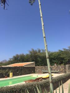 a palm tree standing next to a swimming pool at Villa Morabeza Guest House in Mindelo