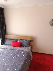 ein Schlafzimmer mit einem Bett mit einem roten Kissen in der Unterkunft CASBAH HOMES in Nairobi