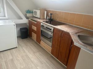 Kuchyň nebo kuchyňský kout v ubytování Apartmán Krkovička + 13 fotografií