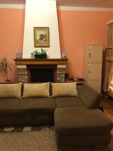 a living room with a couch and a fireplace at Pelican Guest House & Hostel in Chernivtsi