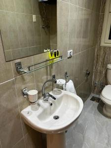 a bathroom with a sink and a toilet at Alaaeldein pyramids Land inn in Cairo