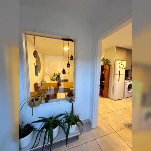 a view of a living room with a mirror and plants at Corinto Tempo in Esquel