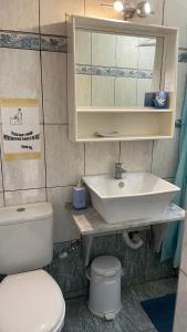 a bathroom with a sink and a toilet and a mirror at Alkyonis Apartments in Panormos Kalymnos