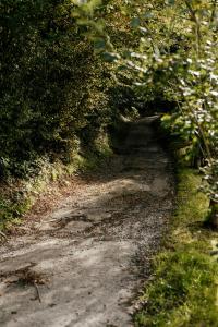Paesaggio naturale nelle vicinanze dell'affittacamere