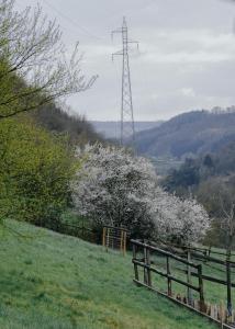 Paesaggio naturale nelle vicinanze dell'affittacamere