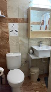 a bathroom with a toilet and a sink at Alkyonis Apartments in Panormos Kalymnos