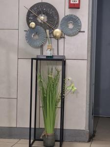 a table with a potted plant and three fans at HOTEL ABOUKIR in Paris