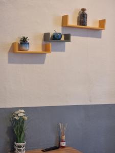 dos estanterías en una pared con plantas. en HOTEL ABOUKIR, en París 1 foto más