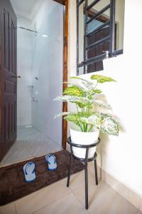 a plant sitting on a stool in a bathroom at Tegera Homes in Kericho