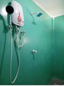 um chuveiro numa casa de banho com uma parede verde em DA GREA NATURAL BEACH HOTEL em Triquinimale