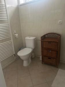 Vannituba majutusasutuses Apartmán Krkovička