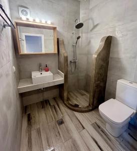 a bathroom with a shower and a toilet and a sink at Aegli Apartments in Symi