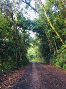 uma estrada de terra no meio de uma floresta em Sítio Família Cherba - Cabana do Lago em Videira