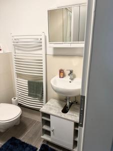 ein Badezimmer mit einem Waschbecken, einem WC und einem Spiegel in der Unterkunft Großes Appartement Umgebung Frankfurt am Main Monteure geeignet in Linsengericht