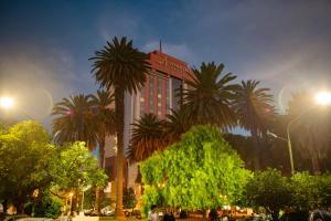 a building with palm trees in front of it at Alejandro 1º Hotel in Salta