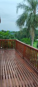 a wooden deck with a palm tree in the background at Cabañas Refugio Verde in El Soberbio