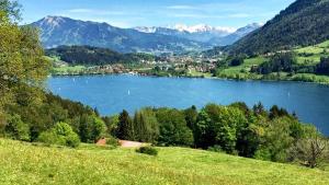 vistas a un lago con montañas en el fondo en FeWo Hochsiedelblick, Oberstaufen/Wiedemannsdorf, en Oberstaufen