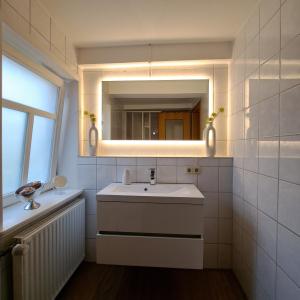ein Bad mit einem Waschbecken und einem Spiegel in der Unterkunft Dümmerliebe mit Garten, 10 Min. fussläufig zum See in Hüde