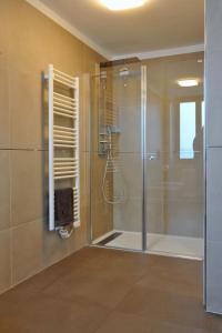 uma casa de banho com um chuveiro e uma porta de vidro em Ferienwohnung in Limone Sul Garda mit Garten und Terrasse und Seeblick em Limone sul Garda
