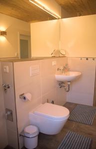 a bathroom with a toilet and a sink at Landhaus PHILIPP - Ruhe & Meer in Nienhagen