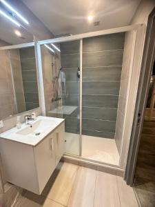 a bathroom with a shower and a white sink at Hotel Les Palmiers En Camargue in Saintes-Maries-de-la-Mer