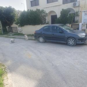 ein blaues Auto, das neben einem Hund auf einer Straße parkt in der Unterkunft Maison de vacances à la mer 5mn à pieds in Borj el Khessous