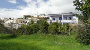 Κήπος έξω από το La Maison Bleue +23 φωτογραφίες