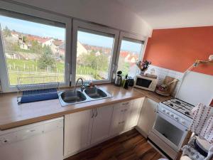Kuchyň nebo kuchyňský kout v ubytování Balatonfüred Apartment + 2 fotografie