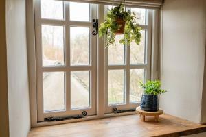 una camera con finestra e pianta in vaso di The Gamekeeper's Cottage - Stunning 2 Bed! a Leafield