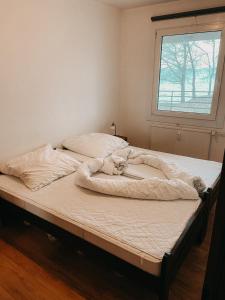 Deux lits dans une chambre avec un chien posé sur eux dans l'établissement Ferienwohnung Am Leuchtturm, à Schausende