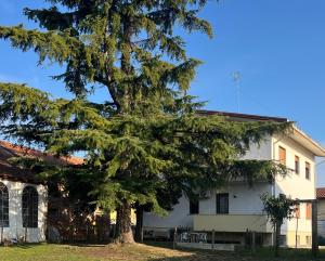 un arbre devant une maison blanche dans l'établissement Casa Feletto con parco verde vicino uscita autostrada, à Pordenone