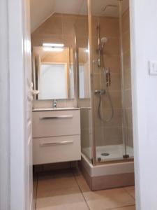 洛克马里亚Maison avec vue sur mer dans Résidence Marie Galante的带水槽和淋浴的浴室