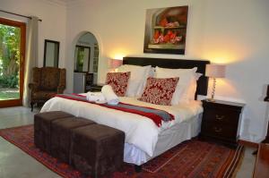 ein Schlafzimmer mit einem großen Bett und einem Stuhl in der Unterkunft Upington African Vineyard Boutique Hotel & SPA in Kanoneiland
