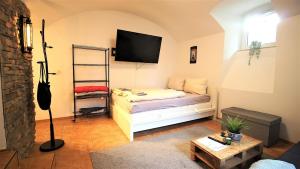 salon z kanapą i telewizorem w obiekcie fully equipped apartment near main station w mieście Würzburg